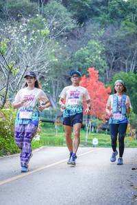 BIB: 77662, 8045, 8056
                            <button type="button" onclick="openModal(19241409)" class="btn btn-primary btn-sm float-right btn-popup" data-toggle="modal" data-target=".modal-high-quality">
                        <i class="fas fa-shopping-cart"></i> Add to Cart
                    </button>
                                            <button type="button" onclick="isThisMe(19241409, true)" class="btn btn-success btn-sm float-right btn-popup btn-isme hidden" data-toggle="tooltip" data-placement="bottom" title="นี่คือรูปของคุณใช่ไหม คลิกที่นี่เพื่อเอาเข้าอัลบั้ม">
                        <i class="fas fa-plus"></i> Add to album
                    </button>
                    <button type="button" onclick="isThisMe(19241409, false)" class="btn btn-warning btn-sm float-right btn-popup btn-isnotme hidden">
                        <i class="fas fa-ban"></i> Remove from album
                    </button>